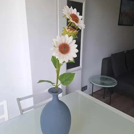 Apartamento Apartamento En 129 